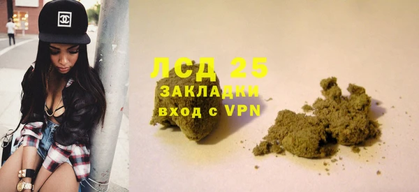ПСИЛОЦИБИНОВЫЕ ГРИБЫ Нязепетровск