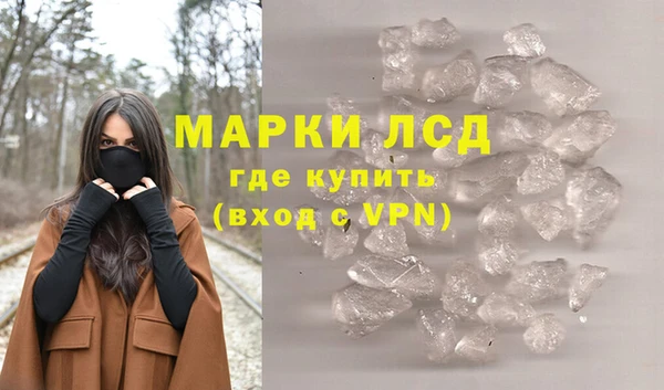 ГАЛЛЮЦИНОГЕННЫЕ ГРИБЫ Няндома