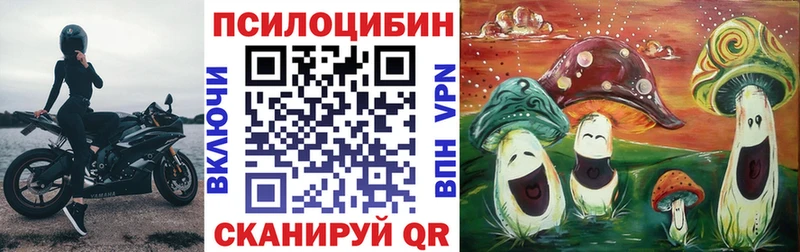 ОМГ ОМГ как войти  Невельск  Псилоцибиновые грибы GOLDEN TEACHER 